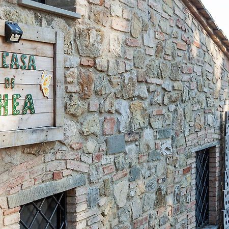 La Casa Di Thea - Flo Apartments Impruneta Dış mekan fotoğraf